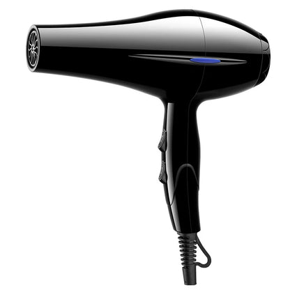 800W Negative Ion Hair Dryer